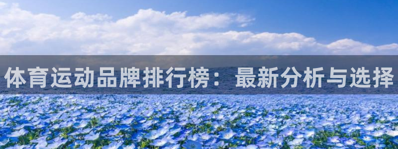 欧亿体育官方平台体育：体育运动品牌排行榜：最新分析与