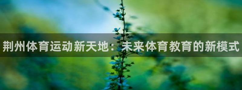 欧亿体育官方正版app开户：荆州体育运动新天地：未来