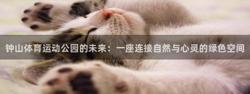 海南oety欧亿体育官网下载发展怎么样：钟山体育运动