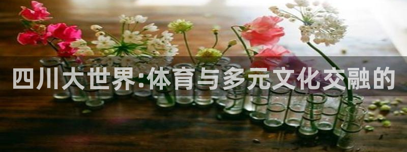 欧亿体育官方正版app娱乐首页网站大全：四川大世界: