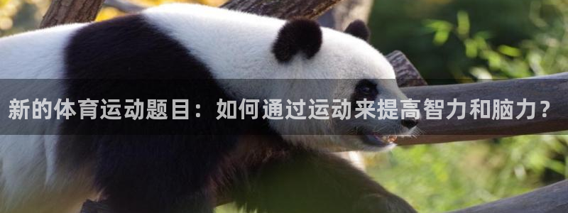 欧亿体育官方正版app娱乐网站：新的体育运动题目：如