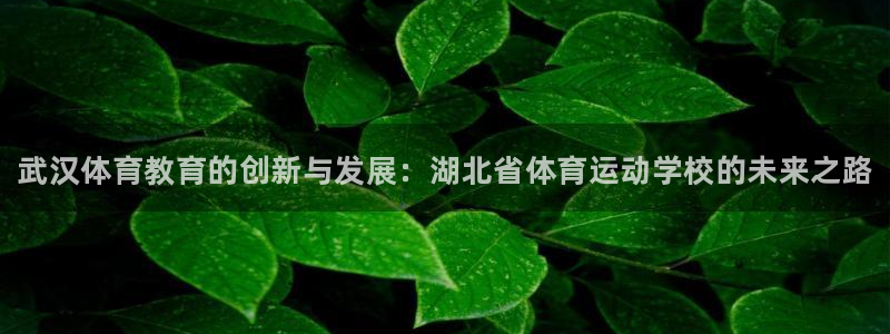 oety欧亿体育官网下载招商电话号码：武汉体育教育的