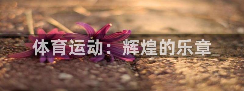 oety欧亿体育官网下载开户：体育运动：辉煌的乐章