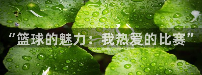 oety欧亿体育官网下载平台APP：“篮球的魅力：我