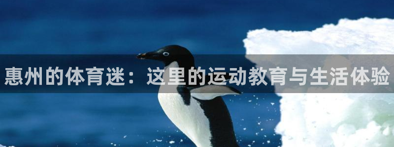 欧亿体育官方集团官网：惠州的体育迷：这里的运动教育与