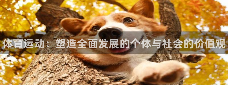 oety欧亿体育官网下载招商电话：体育运动：塑造全面