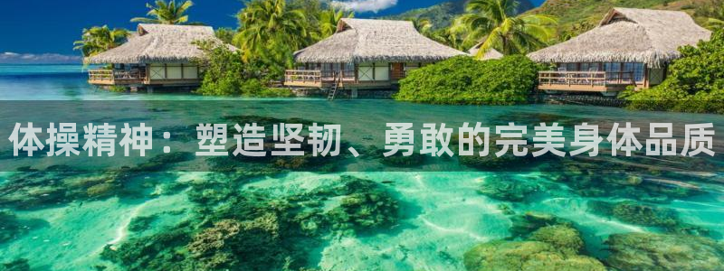 欧亿体育官方正版app娱乐下载：体操精神：塑造坚韧、