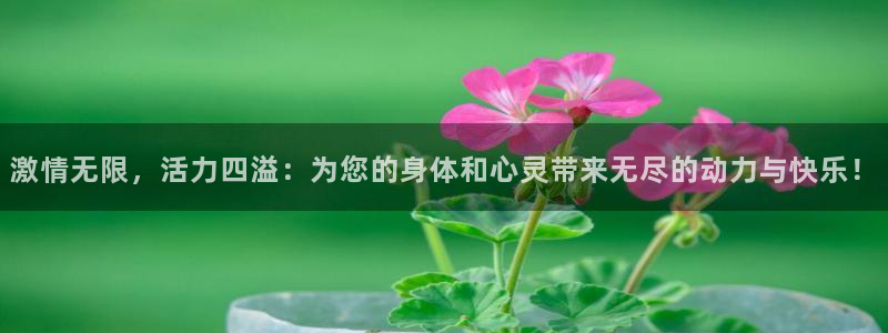 欧亿体育官方正版app娱乐是那个系列的台子：激情无限