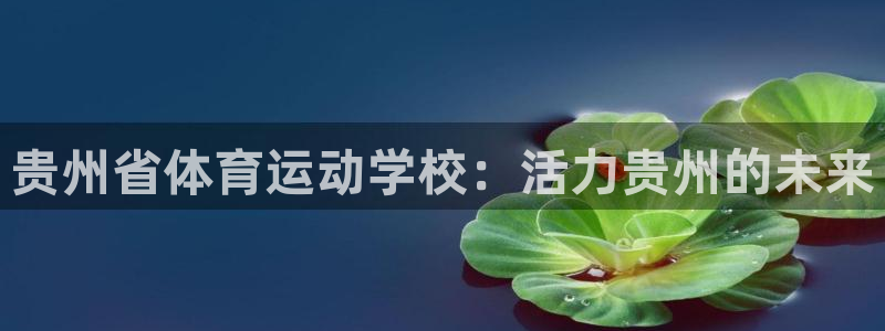 欧亿体育官方正版app娱乐首页网站大全：贵州省体育运