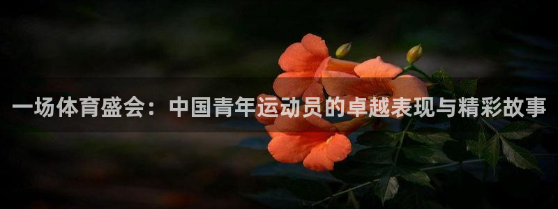 欧亿体育官方正版app娱乐首页网站大全：一场体育盛会