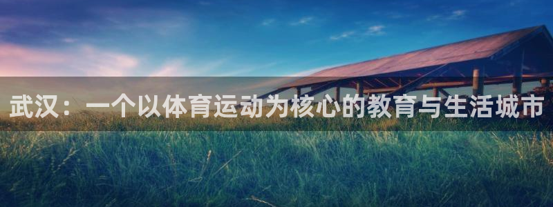 oety欧亿体育官网下载平台假的吗是真的吗吗：武汉：一个以体