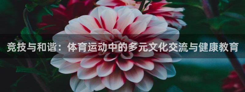 oe欧亿交易所app官方下载：竞技与