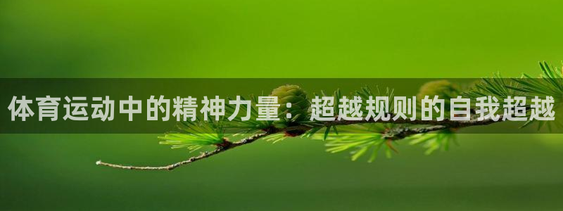 欧亿官网下载app 交易所.官网ap