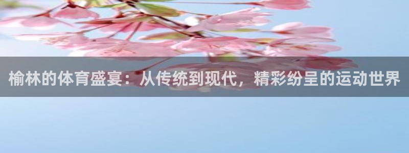 OE欧亿平台最新版本更新内容：榆林的