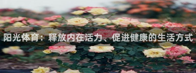 欧亿官网入口：阳光体育：释放内在活力