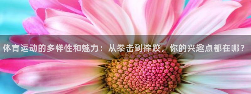 欧亿平台登录地址：体育运动的多样性和