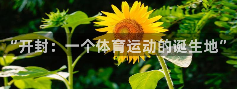 oe欧亿体育官网：“开封：一个体育运