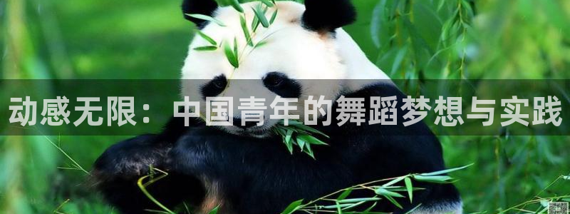 欧亿集团：动感无限：中国青年的舞蹈梦