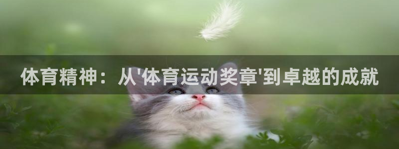  欧亿5注册：体育精神：从\'体育运动奖章\'到卓越的成就