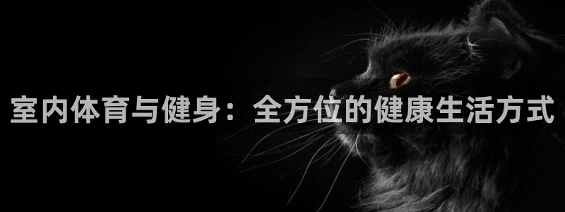 oe欧亿官方网站：室内体育与健身：全方位的健康生活方式