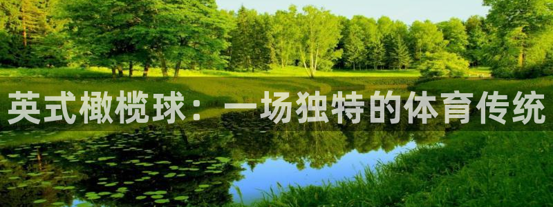 oety欧亿体育官网下载平台注册流程图：英式橄榄球：