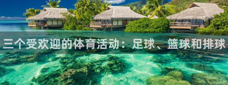 oety欧亿体育官网下载娱乐：三个受欢迎的体育活动：足球、篮
