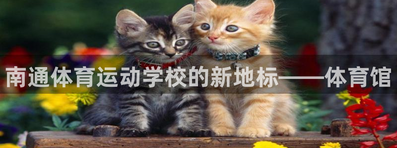 oety欧亿体育官网下载平台是正规平台吗：南通体育运动学校的