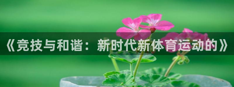 注册欧亿体育官方正版app：《竞技与和谐：新时代新体育运动的