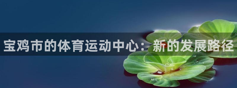 欧亿体育官方正版app娱乐首页官网下载：宝鸡市的体育运动中心