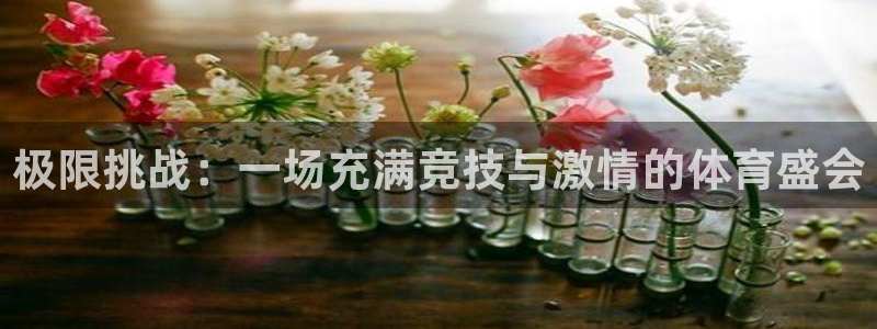 oety欧亿体育官网下载招商电话是多少：极限挑战：一场充满竞